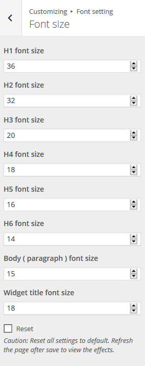  Font size options
